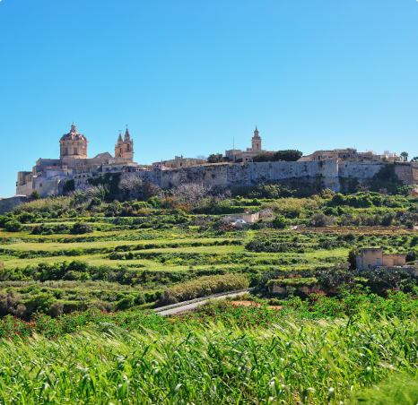 skyline mdina with st paul cathedral malta island 1